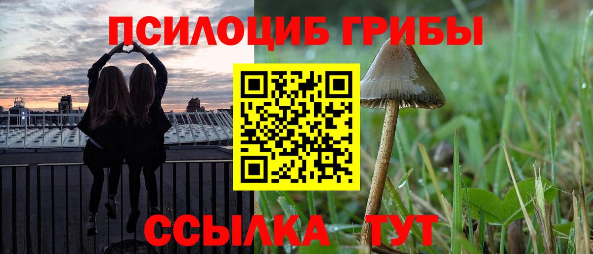 Псилоцибиновые грибы ЛСД  Галлюциногенные грибы ЛСД  что такое наркотик  Бугульма  Вход с VPN 